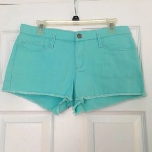 Roxy Aqua Blue Shorts
